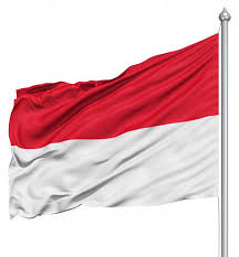 Steag doua pătrat steaguri china indonezia. Steagul Indoneziei Specie SemnificaÈ›ie Istorie