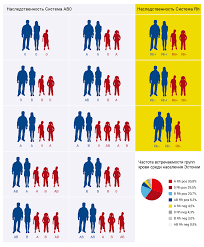 определение пола ребенка по группе крови и резус фактору O Gruppah Krovi Centr Krovi