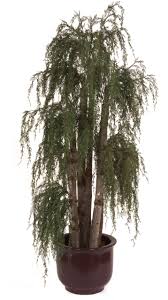We did not find results for: Artificial Cypress Tree Treescapes Plantworks