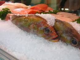 This is the menu for food available at malibu beach grill, located at 5543 s williamson blvd, port orange, fl 32128. Malibu Seafood Fresh Fish Market And Patio Cafe Menu Prices Restaurant Reviews Tripadvisor