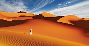 We did not find results for: 10 Interesting Facts About The Sahara Desert On The Go Tours Blog