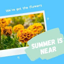 Transform your bathroom into a relaxing. Flowers By Susan Home Facebook