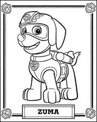Dibujo Patrulla Canina Colorear