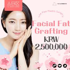 The Plan] Facial Fat Grafting