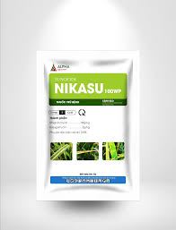Nikasu 100WP