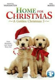 Pin By Theokdogs On Dog Christmas Movies Christmas Dvd Christmas Movies Dog Movies