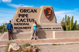 Get directions, reviews and information for organ pipe cactus national monument in ajo, az. Organ Pipe Cactus National Monument Adventurous Way