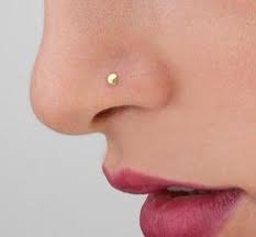 For information about the nostrils of a bird, see beak § nares. 27 Nostril Ideas Kolczyki Piercing Ciala Piercing