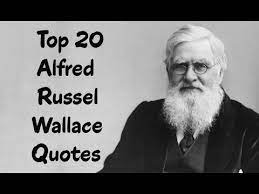 Top 20 Alfred Russel Wallace Quotes Author Of The Malay Archipelago Youtube