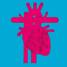 Hvis du har opplevd de tidlige tegnene, må du bare huske alle de ubehagelige følelsene og forklare legen din. Kjonnsforskjeller I Utredning Og Behandling Av Hjerteinfarkt Tidsskrift For Den Norske Legeforening