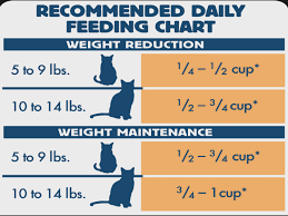 blue weight control dry cat food chicken how much to feed