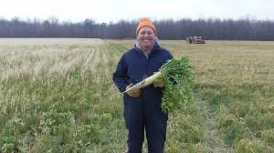 Cover Crop Radishes…be a good neighbor!