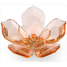 We did not find results for: Swarovski Garden Tales Cherry Blossom 5557797 Neuheit 2021 9009655577 91 40
