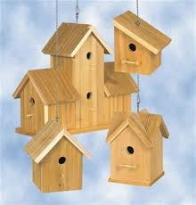 Bird House Kits For Adults Cedar Birdhouse Planter Plan Bird House Bird House Kits Bird Houses
