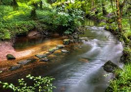 La population locale les prend pour des dieux et les honore comme tels. Recommendations Tips Ferien In Der Bretagne