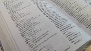 Liever Een Tikfout Dan Lijden In Plaats Van Leiden Nos