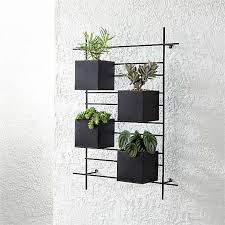 Cool plants potted plants garden plants indoor plants hanging plants succulent plants indoor gardening cactus plants flower plants. Outdoor Planters Pots And Garden Tools Crate And Barrel