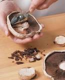 Do you clean out the inside of a portobello mushroom?