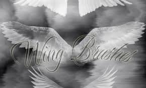 Fairy, angel, butterfly, insect, bat, demon / succubus, dragon, dragonfly, and more! 44 Free Wing Photoshop Brush Sets Naldz Graphics Photoshop Brush Set Photoshop Brushes Photoshop Elements