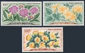 Image result for Cogniauxia podolaena