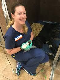 Our 24 hour pet hospital is located in stone oak and serves the san antonio area and all of south texas. Emergency Pet Clinic San Antonio 31 Photos 78 Reviews Veterinarians 8503 Broadway St San Antonio Tx Phone Number