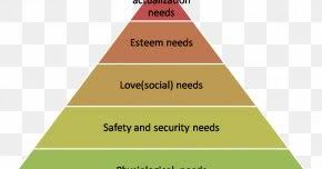 This week we are building on last week's outline of american stratification to explore how class differences affect people's daily lives. Society Malays Social Stratification Sociology Png 666x501px Society Brand Culture Diagram Flipboard Download Free