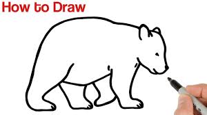 How to draw a frog for kids. How To Draw A Bear Easy Animals Drawings For Beginners Youtube