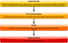 Plant cells differ from animal cells because plant cells have a cell wall, one especially large vacuole and chloroplasts. An Insight Into Patent Landscape Analysis Of Plant Stem Cells Sciencedirect