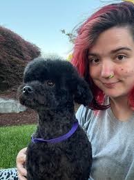 How to strip a giant dog's coat in Ohio?