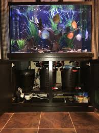 Pin By Edson Henrique On Discus Community Aquarium Aquarium Setup Home Aquarium Aquarium