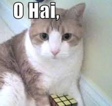 Image result for hi meme