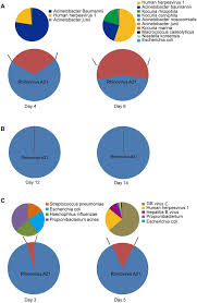 When a child with a rhinovirus infection has a runny nose, the liquid from her nose get on to her hands and from there on to tables, toys, and other. Genotyping Of Human Rhinovirus In Adult Patients With Acute Respiratory Infections Identified Predominant Infections Of Genotype A21 Scientific Reports
