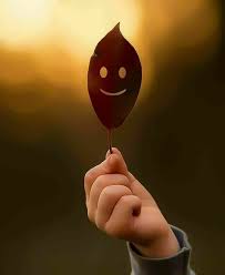 Pin By Sohail Ahmad On 1 Usd Cute Wallpapers Cute Photography Art Wallpaper