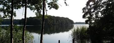 Die urg mbh ist eine gesellschaft des landkreises uckermark mit dem auftrag der bedarfsgerechten und flächendeckenden notfallrettung, den qualifizierten krankentransport und der durchführung von. Wanderwege In Der Uckermark Die Schonsten Touren Der Region