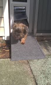 Screen door for large dog diy. Pin On Dog Lover