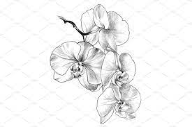 Pencil Drawing Orchid Flowers Geometric Orchid Tattoo Orchid Flower Tattoos Flower Drawing