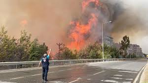 Jun 10, 2021 · isparta orman bölge müdürü refik ulusoy eğitim programına iştirak ederek orman yangınları konusundaki mesleki tecrübeleriyle beraber orman yangınlarıyla mücadelede uygulanması. Dosya Turkiye De Ormanlar Neden Yaniyor Son Dakika Haberleri