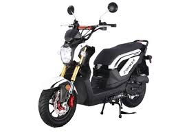 Shop.alwaysreview.com has been visited by 1m+ users in the past month Tao Tao Ate 501 Electric Scooter Tao Tao Scooter Sales And Scooter Shipping