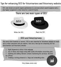 Search Engine Optimization Is A Process Where Search Engines Rank A Site Higher Compared To Other Sites For Search Engine Web Design Agency Fun Website Design