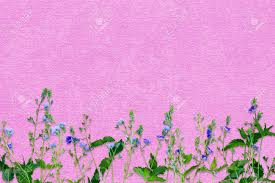 These blooms are perfect for those looking for something more distinctive due to the fact that blue and purple are not very popular colours to find in nature. Spring Background With Small Purple Flowers The Name Of The Stock Photo Picture And Royalty Free Image Image 96153547