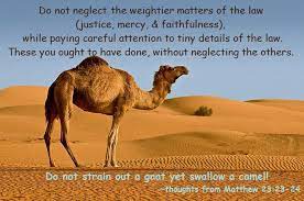 King james bible ye blind guides, which strain at a amplified bible you spiritually blind guides, who strain out a gnat consuming yourselves with miniscule matters and swallow a camel [ignoring and. Pin On Scripture