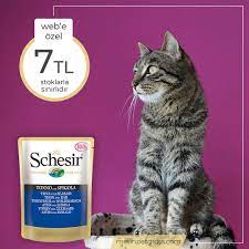 schesir ton balik ve levrekli 100 gr web e ozel sadece 7 tl stoklarla sinirlidir https www metinpetgross com kedi yas mamalari k kedi balik yastiklar