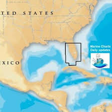 Details About Navionics Marine Charts Platinum South Central Florida Microsd Sd 37661