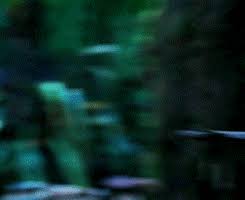 Blog Not Found Peter Pan Ouat Robbie Kay Peter Pan Peter Pan Imagines