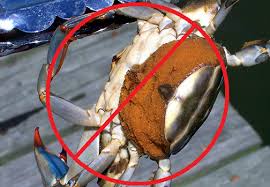 Crabbing Rules And Regulations Crabbing Hq