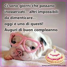 Auguri Auguri Di Buon Compleanno Buon Compleanno Buon Compleanno Divertente