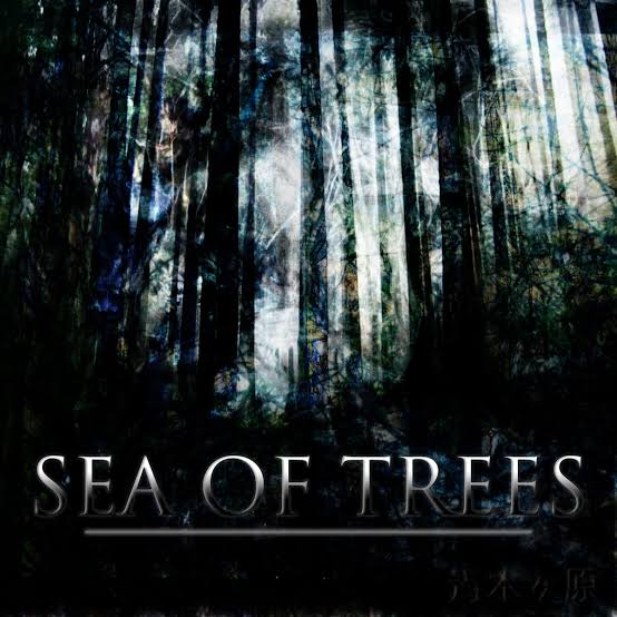 Sea of Trees | Sea of Trees