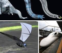 Brilliant Bio Design 14 Animal Inspired Inventions Webecoist Biomimicry Examples Bionic Design Inspiration