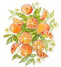 Watercolor Oranges Bouquet Composition Watercolor Illustration Watercolor Art Orange Art