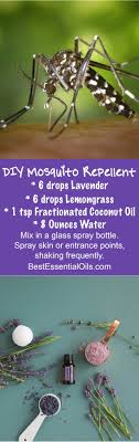 Young living mosquito repellent diy. Top Diy Doterra Essential Oil Bug Repellent Recipes